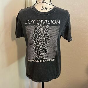 Joy Division Gray Distressed Graphic Shirt